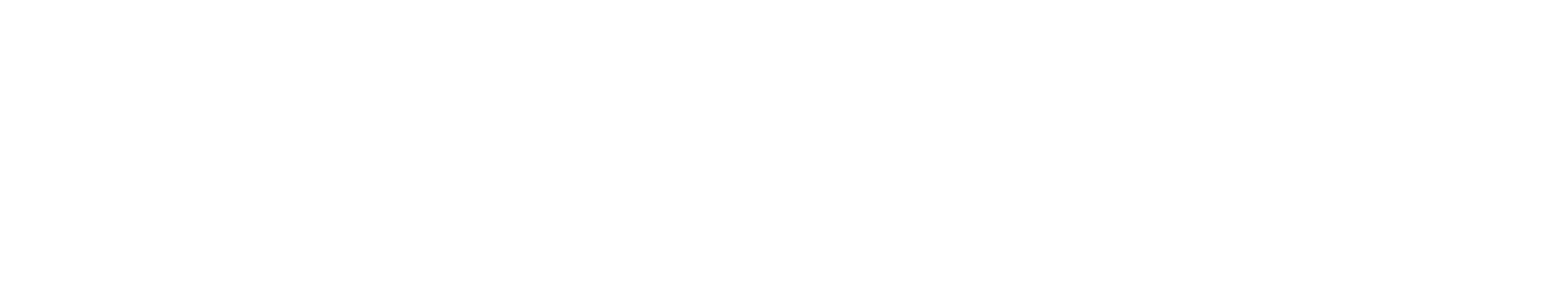 Flite Authorized Partner